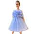 Color Crush dress Little Palace Store